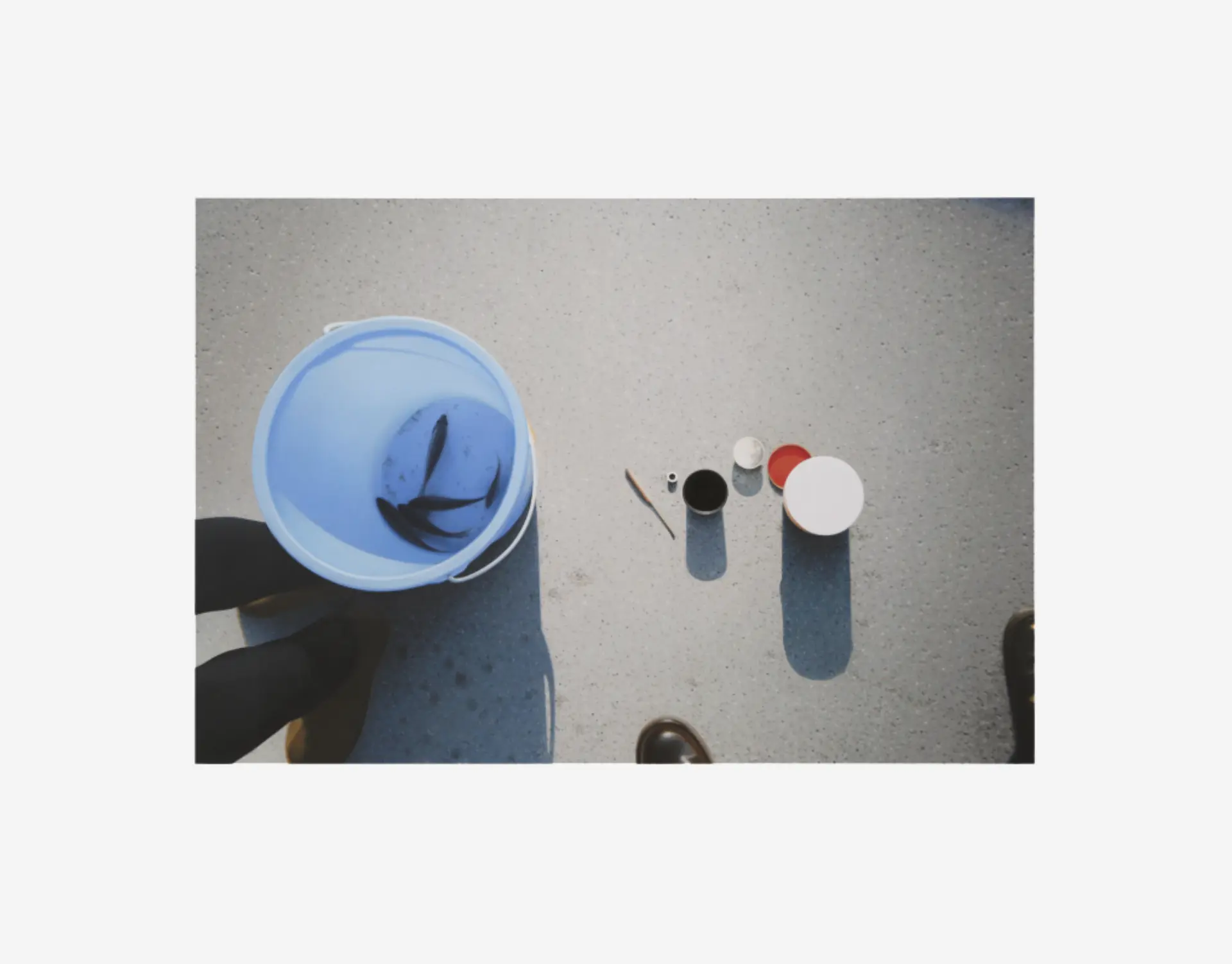 Never Get Skunked, 2025 © Andrew Grassie / Courtey of the artist and Esther Schipper, Berlin/Paris/Seoul