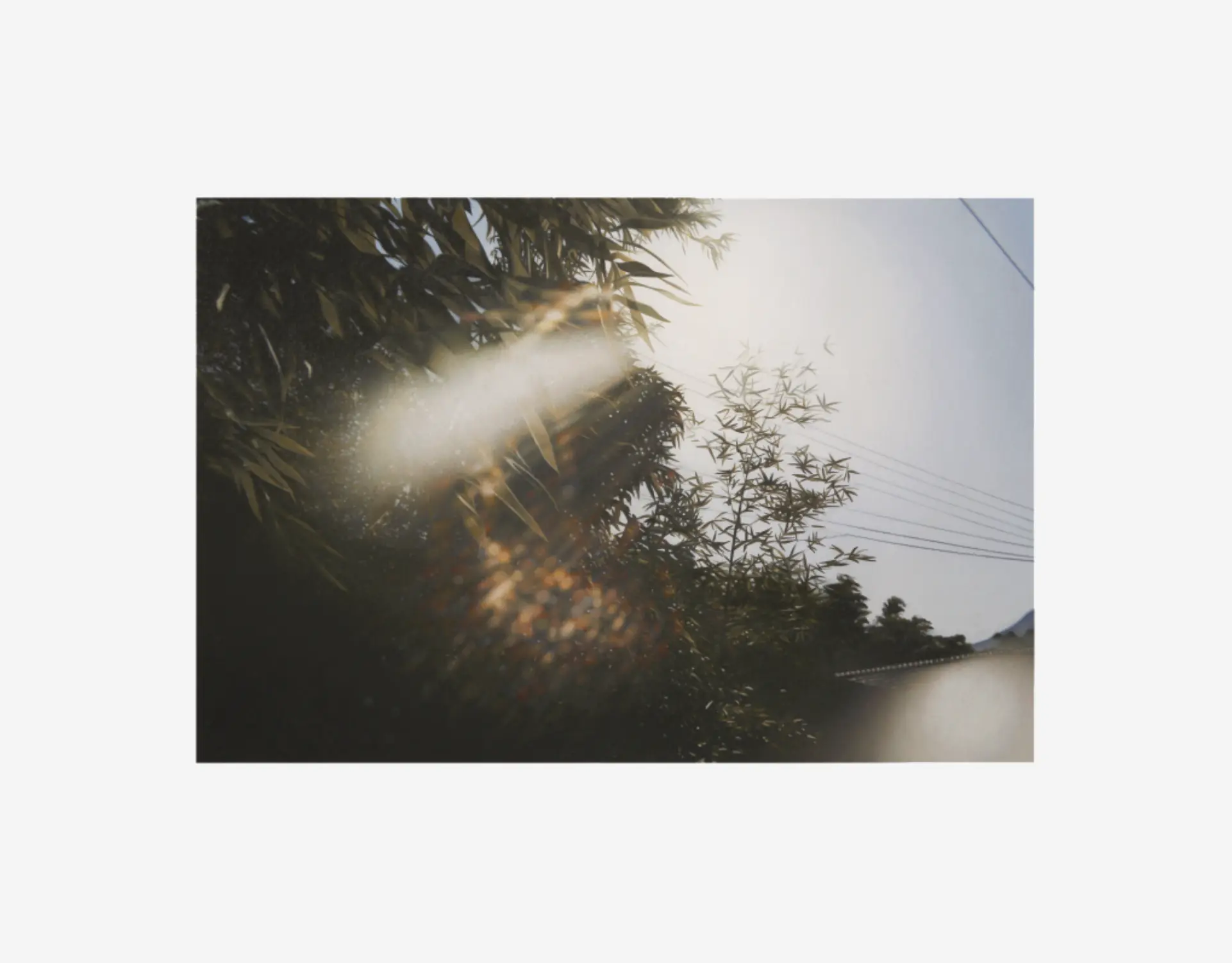 The Idea of Doing Nothing, 2025 © Andrew Grassie / Courtey of the artist and Esther Schipper, Berlin/Paris/Seoul