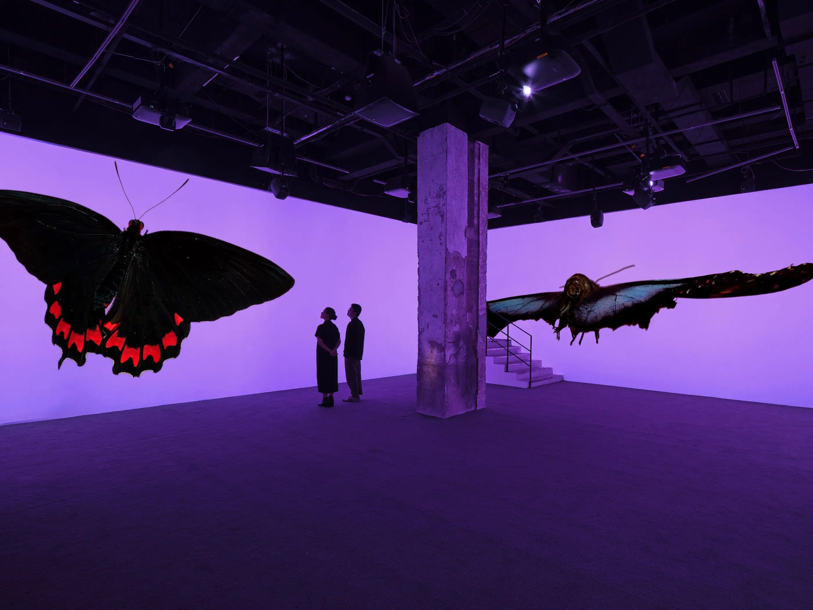 Andrea Galvani, Still from The Void Migrates to the Surface, 2025, Site-specificmultichannel video installation, Courtesy the artist and Fotografiska Shanghai © Andrea Galvani Studio