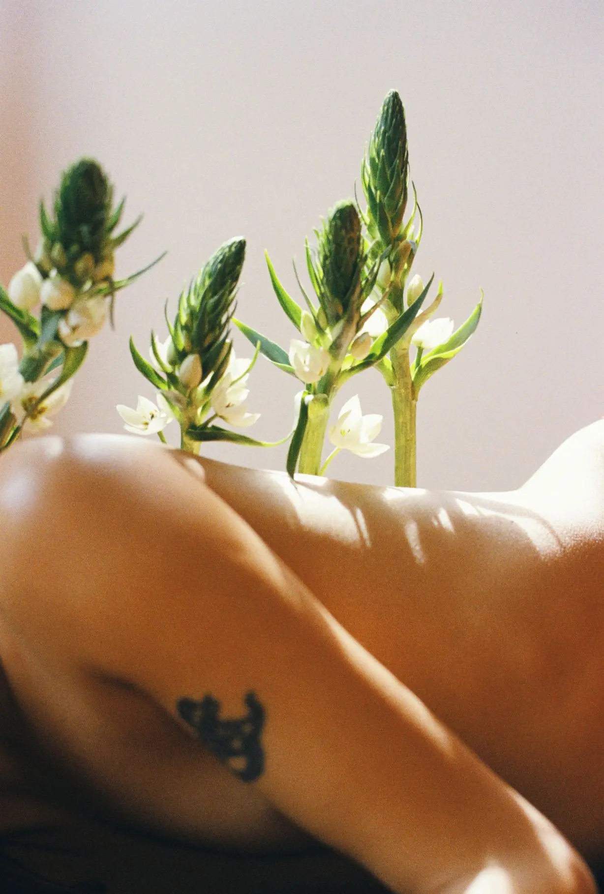 Skin In Bud, 2023 © No.223