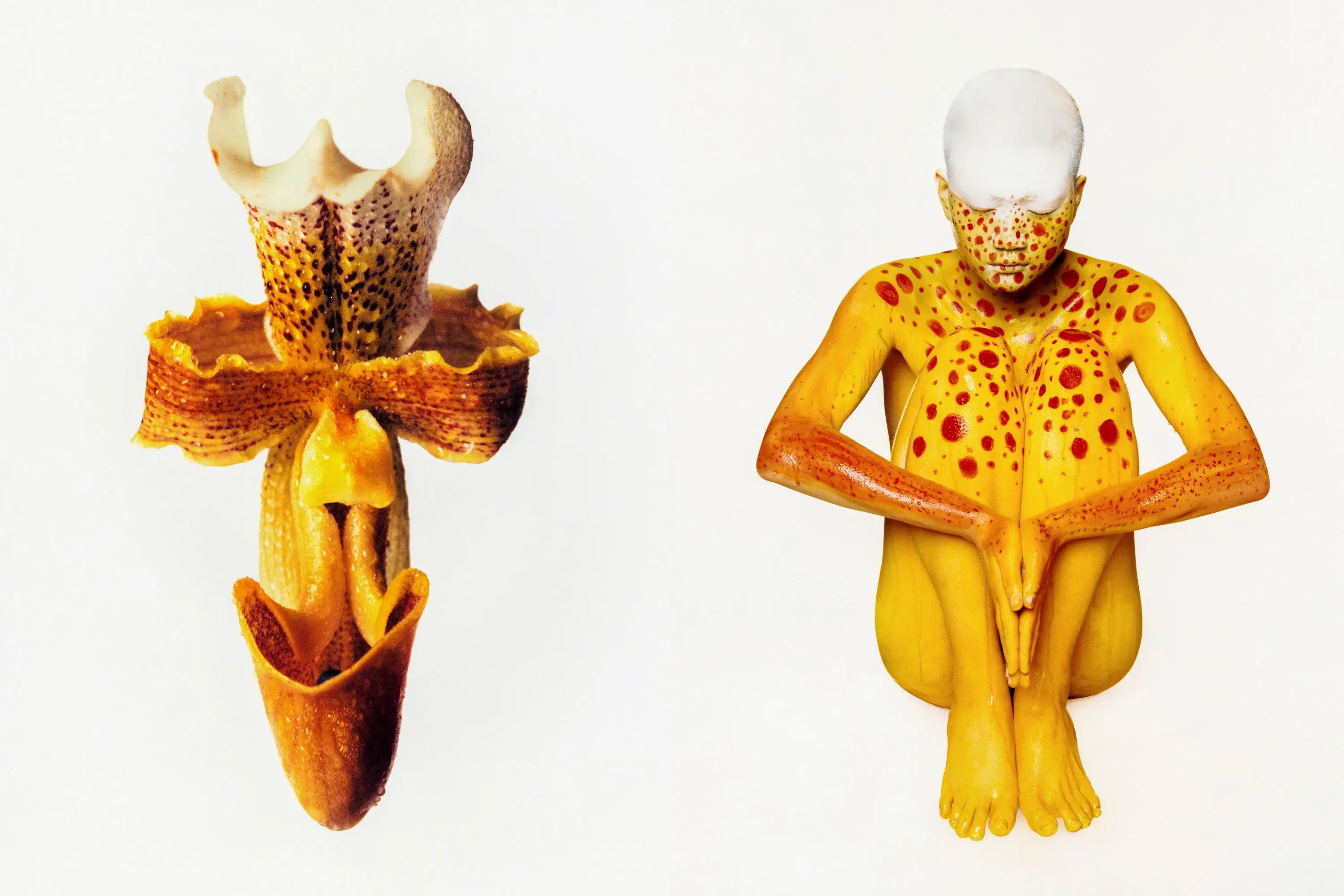 Flower Study From the series FLOWER STUDY, 2021 © Cho Gi-Seok