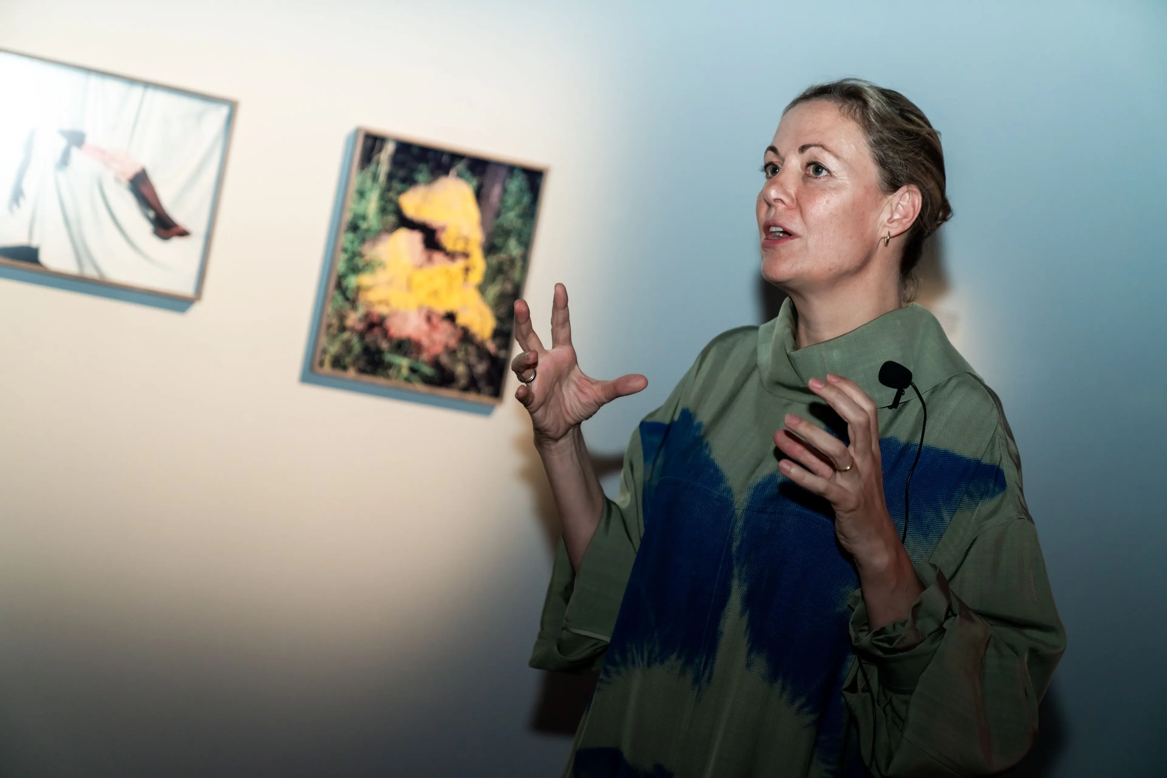 Intro Vivianne Sassen Phosphor